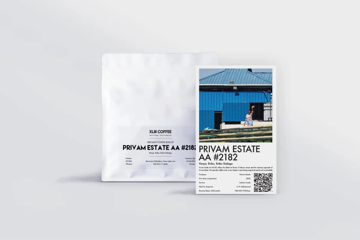 Privam Estate AA #2182 - Saldi Straordinari – Offerte Speciali Disponibili Adesso - {'count': 2, 'name': 'E3'}
