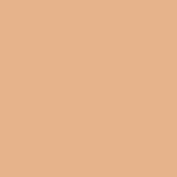 ROULEAU DE FILTRE LEE FILTERS 156 CHOCOLATE - Saldi Straordinari – Offerte Speciali Disponibili Adesso - Filtre magnétique