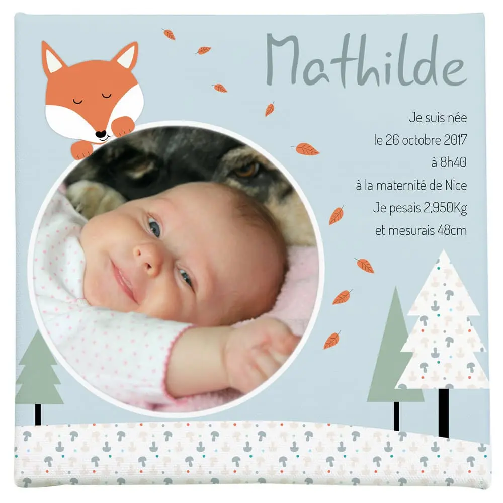 Toile photo naissance sur le thème du renard au fond des bois - Boutique Bébé en Ligne : Soins, Jouets et Articles Maison Tableaux, Renard roux animaux de la forêt 70x100 | Leroy Merlin