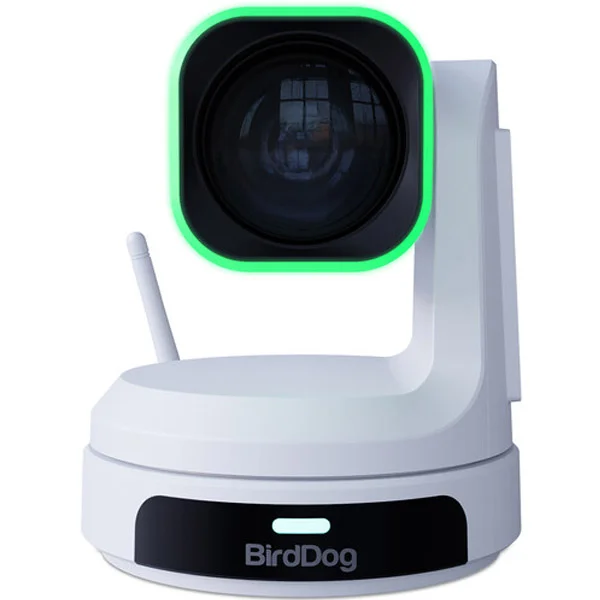 BirdDog Ultra Blanc Caméra PTZ Saldi Straordinari Offerte Speciali Disponibili Adesso